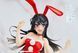 Rascal Does Not Dream of Bunny Girl Senpai - Sakurajima Mai - Coreful Figure  (Winter Bunny Ver.) | Оригінальна аніме фігурка 71493265 фото 4